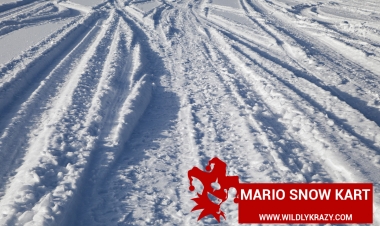 MARIO SNOW KART
