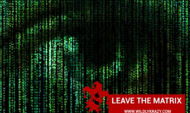 LEAVE THE MATRIX
